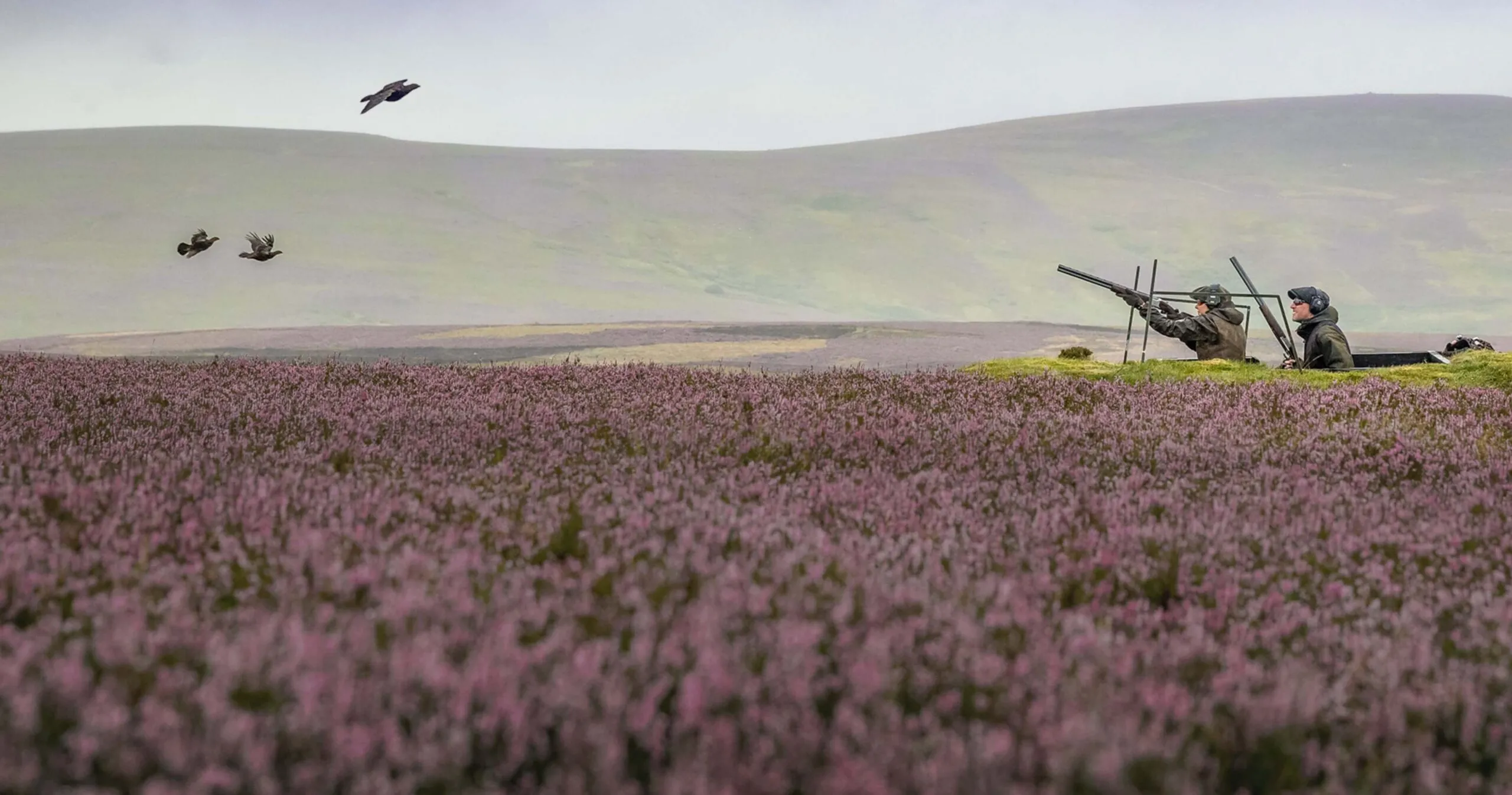 Grouse shoot